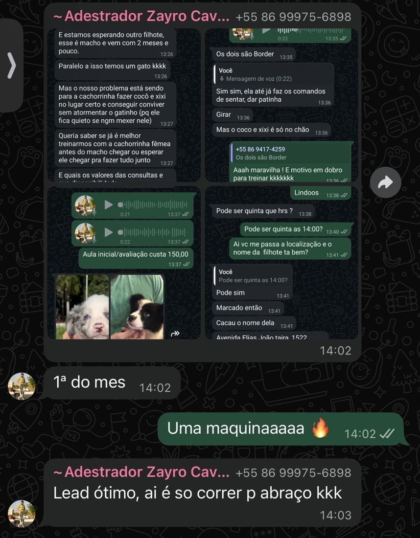 Depoimento de cliente da Salviano em conversa no WhatsApp